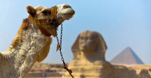 Tour Egipto y Petra