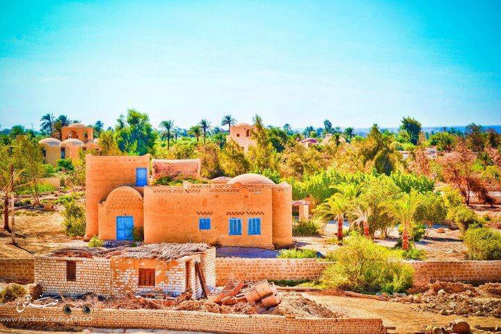 What to do in Fayoum: A Haven Oasis in Egypt