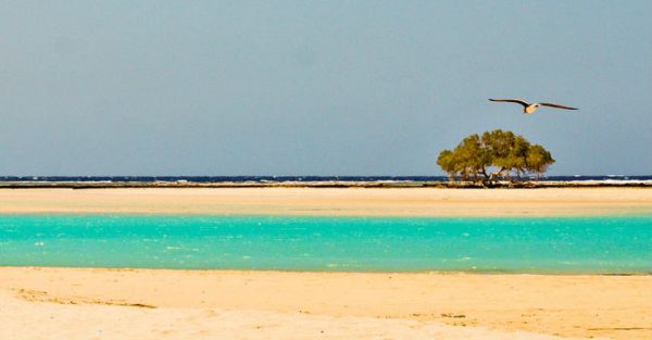 Updated guide to Egypt Holiday Packages from South Africa with related travel plans