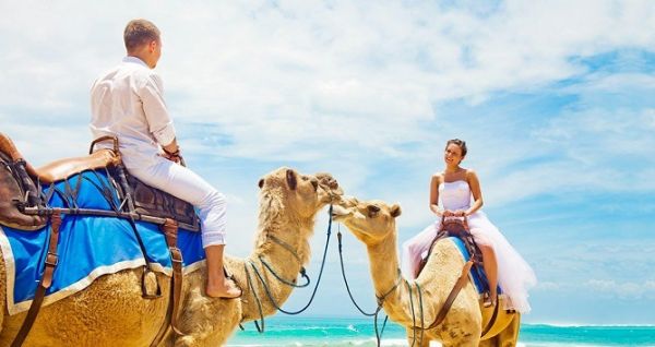 Private Honeymoon in Egypt