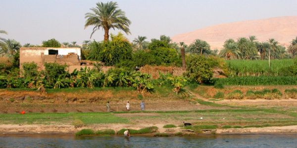 Egyptian homes