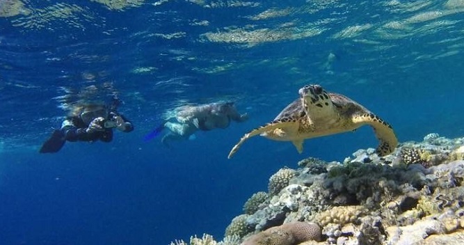 Sharm El-Naga National Park in Hurghada Egypt